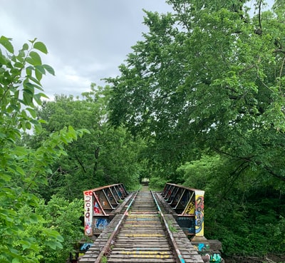 The day between the green trees, brown wooden train track
